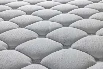Regnum — Fabric close-up